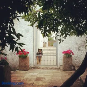 B&B Masseria Donna Carlotta - Image 5