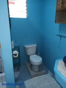 Lendal APT - Image 2