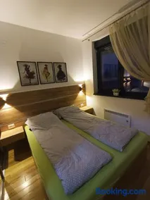 Apartman Lux Relax nalazi se u Titovoj vili - Image 3