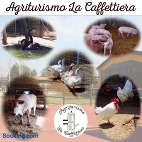 Agriturismo La Caffettiera - Image 2