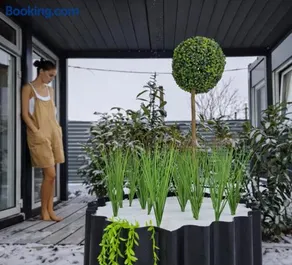 Motel Tiny House - Image 2