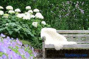 bb-jonashome - Image 3