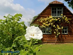 Prospect Cottage - Image 2