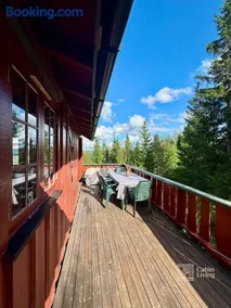 Ski in-out cabin Trysil sauna, fireplace and views - Image 2