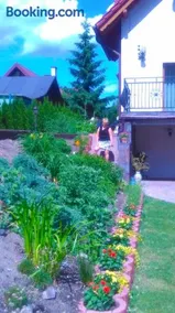 Agroturystyka nad Wdą - Image 2