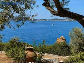 Mare E Cielo - Seafront Stay & Private Beach Samos - Image 4