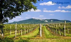 Apartmán Ubytování De Donawitz - Dolní Dunajovice - Image 1