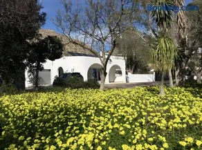 El Olivo - Image 2