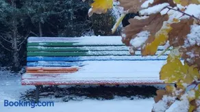 El Jardín de Alameda - Image 2
