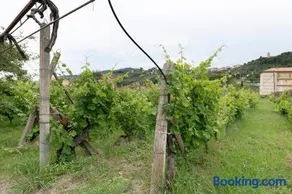 Agriturismo Il vigneto - Image 3
