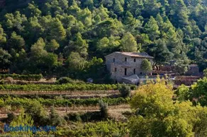 Les Quimeres - Image 5