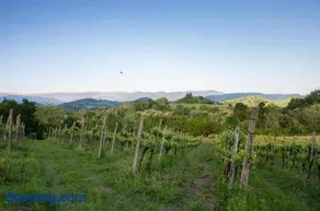La Ginestra Appartamenti e Camere - Image 2