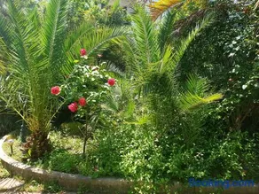 QUIET HOUSE GARDEN NAPLES-POMPEI-SORRENTO - Image 2