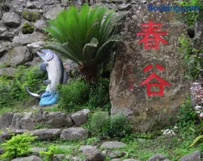 Chun Gu Farm - Image 5