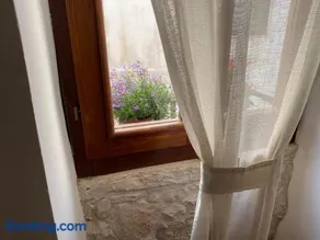 Donna Maria - Image 5