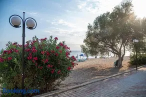The Beach House Gerakini Chalkidiki - Image 4