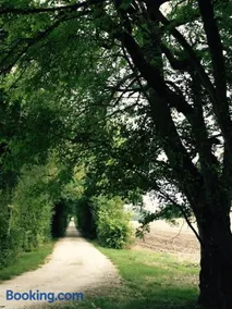 Domaine Le Rolant - Image 1