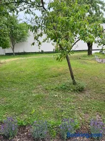 Seewinkelruh - Image 5
