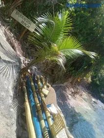 treehouse above the beach - Image 5