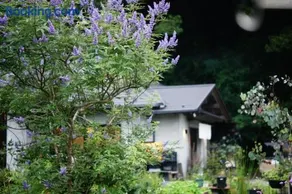 花とハーブ癒しの巣ごもり宿-花木の宿- - Image 2