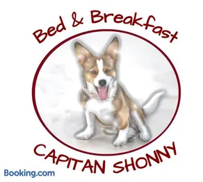 Capitan Shonny - Image 1