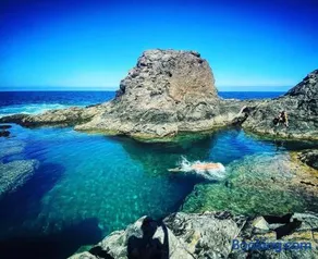 La Majorera - Image 3