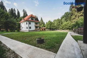 Forest Resort - Image 4