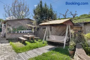 Bnb anima - Image 2