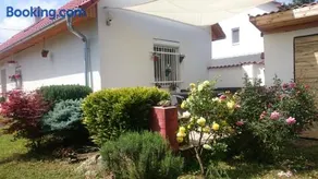 Vendég kuckó - Image 4