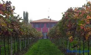 Agriturismo Fondo Gesù - Image 1