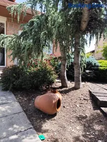 San Isidro - Image 3