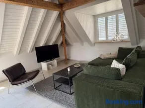 Lake Zurich Attic with Parking and View - Image 4