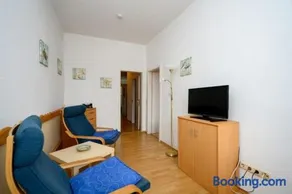Strandnelke - Image 2