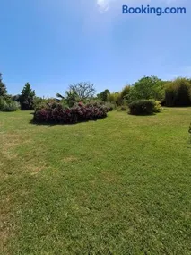 Domaine des Anges - Image 5