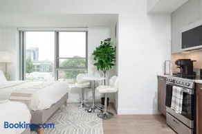 Luxury Studio King bed Gym near MIT Harvard - Image 4
