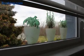 Ferienwohnung am Park - Image 2