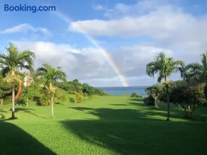 Beachfront Paradise Ishigaki - Image 3