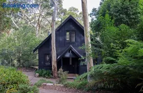 Wondernest, Blue Mountains - Image 5