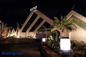 Egytus Londrina - Image 3