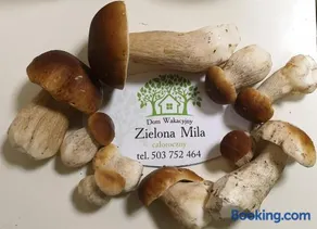 Zielona Mila Dom Wakacyjny - Image 2