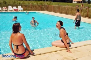 Le saumon - Image 3