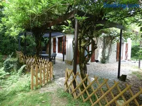 Le vieil orme - Image 2
