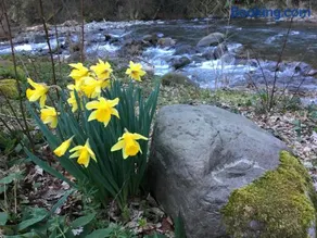 Relax totale nel Bosco Lucca - Image 2