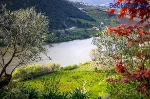 Fraga Douro House, Douro Valley - Image 5
