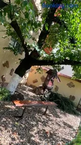 The Cozy Backyard Home- satu Mare - Image 4