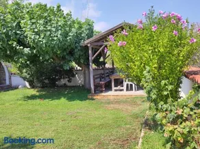Villa Blue Flag - Image 1