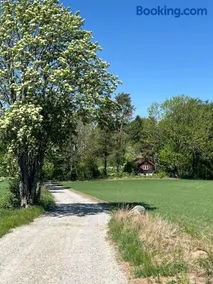 Koselig hytte på eget tun med varmtvanns utedusj - Image 3