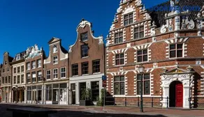 De Ginkgo in het hart van Hoorn - Image 1