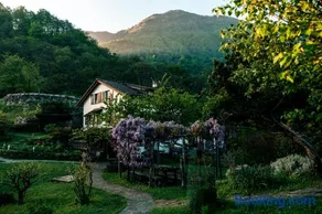 Hotel Sass da Grüm - Image 2