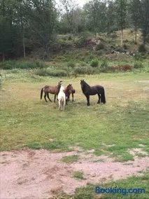 Mysigt boende på landet nära naturen - Image 3